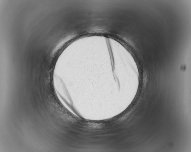 X0000112491309200909281123