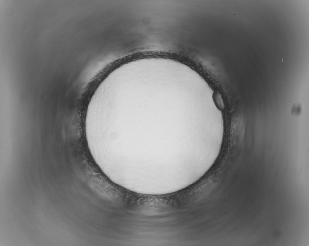 X0000112491310200909281123