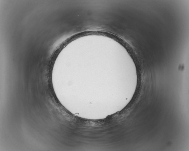 X0000112491311200909281123