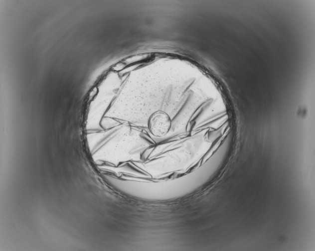 X0000112491312200909281124