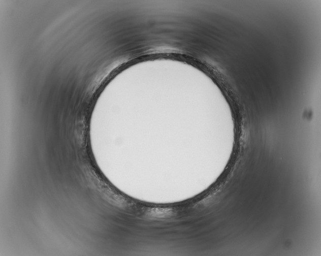 X0000112491313200909281124