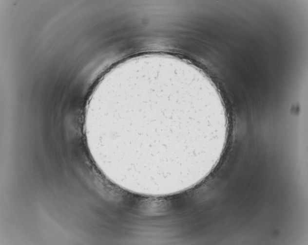 X0000112491314200909281124