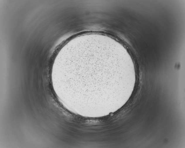 X0000112491315200909281124