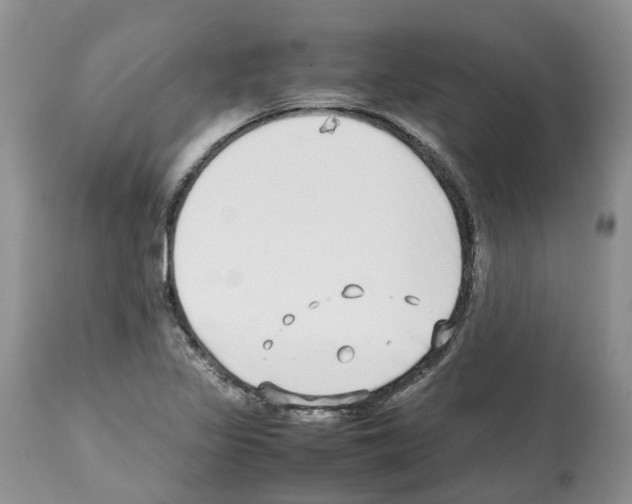 X0000112491317200909281124