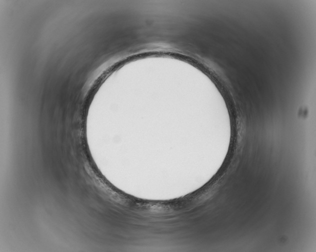 X0000112491318200909281124