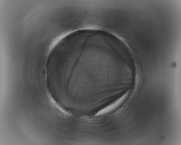 X0000112491319200909281124