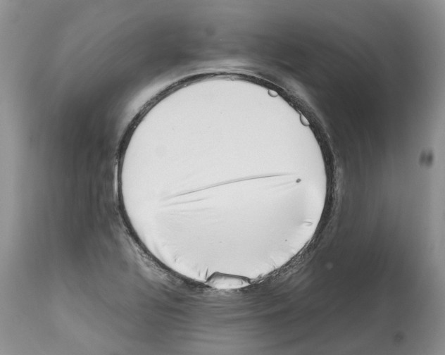 X0000112491320200909281124