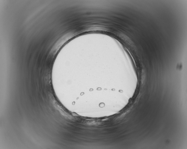 X0000112491321200909281124