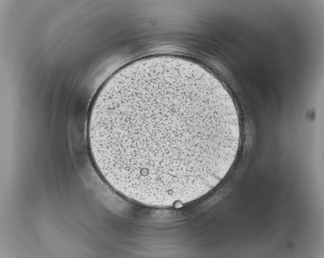 X0000112491322200909281124