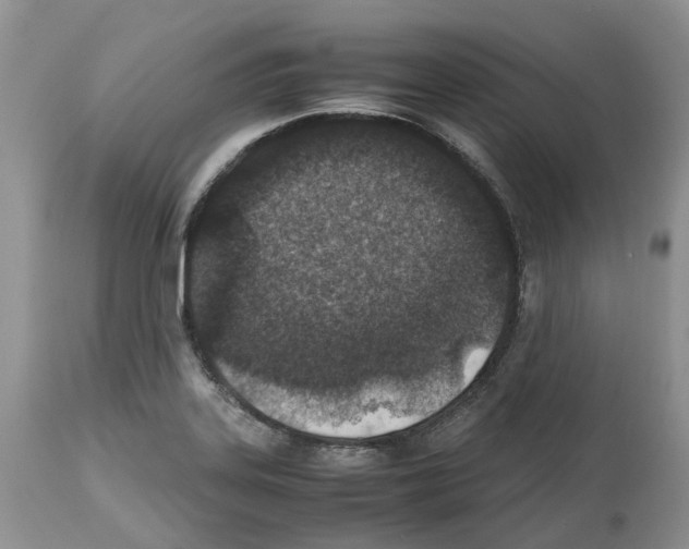 X0000112491323200909281124