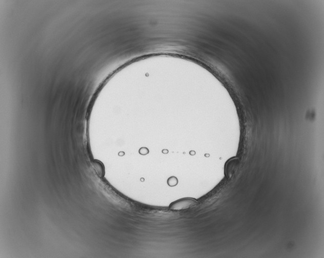 X0000112491324200909281124