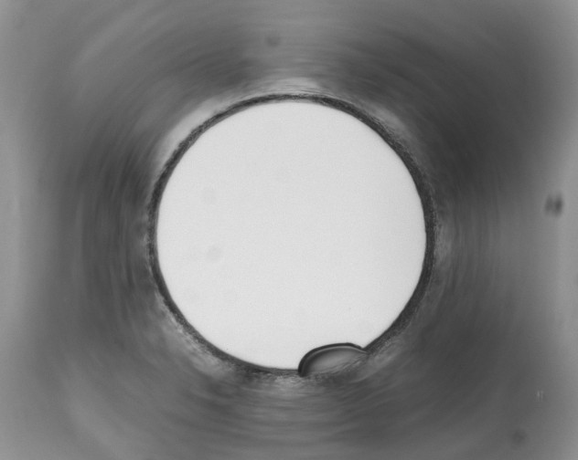 X0000112491326200909281124