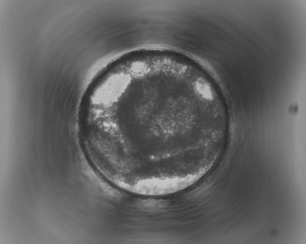 X0000112491327200909281124