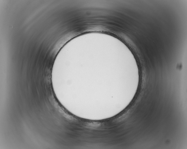 X0000112491329200909281124