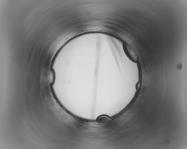 X0000112491330200909281124