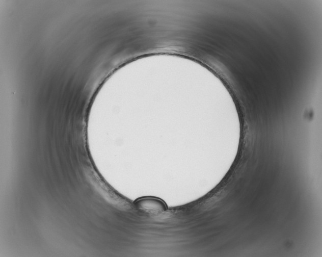 X0000112491332200909281124