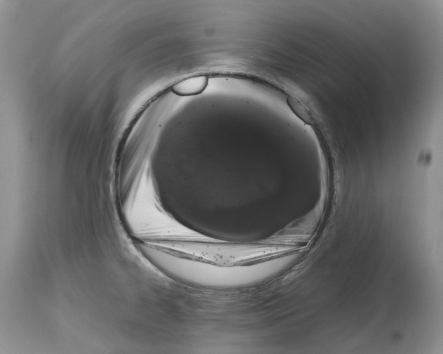 X0000112491334200909281124