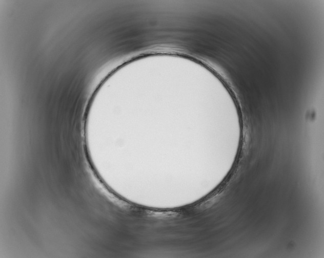 X0000112491335200909281124