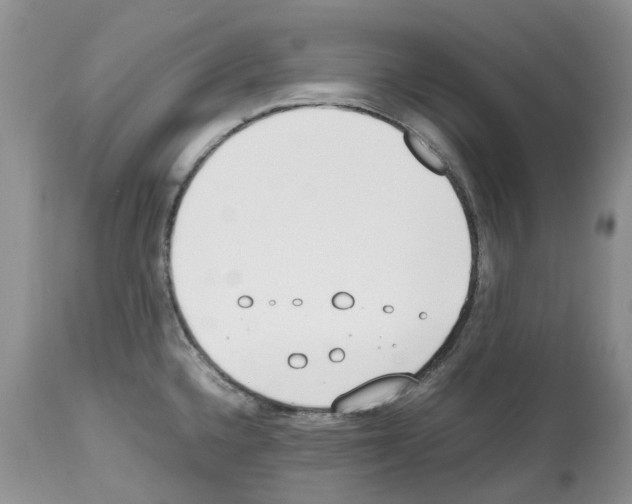 X0000112491336200909281124