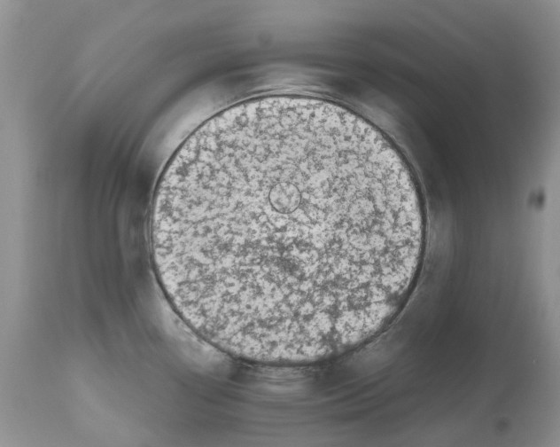 X0000112491338200909281124