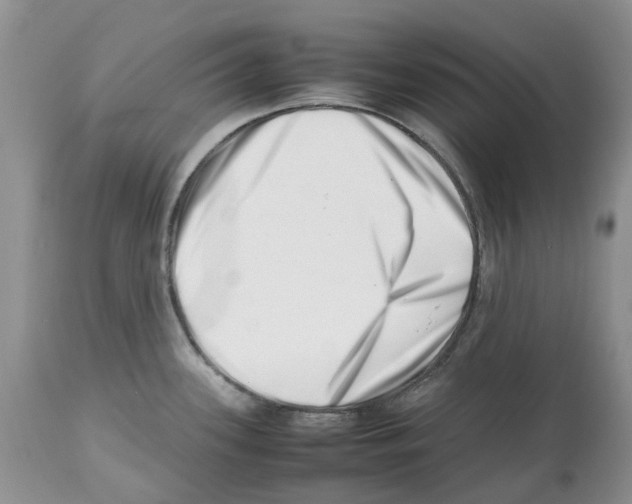 X0000112491339200909281124