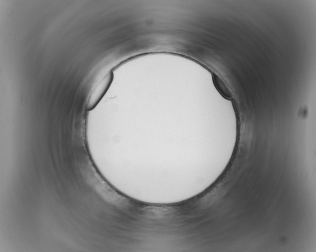 X0000112491340200909281124