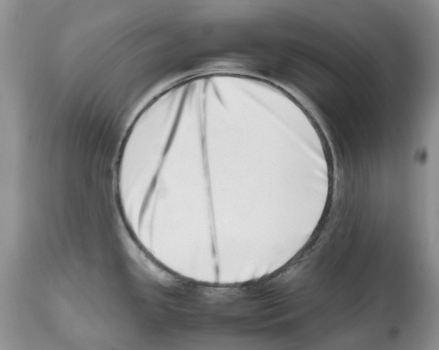 X0000112491341200909281124