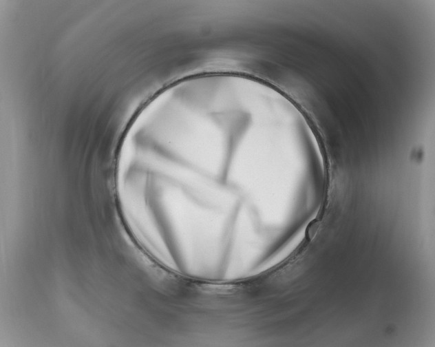 X0000112491342200909281124