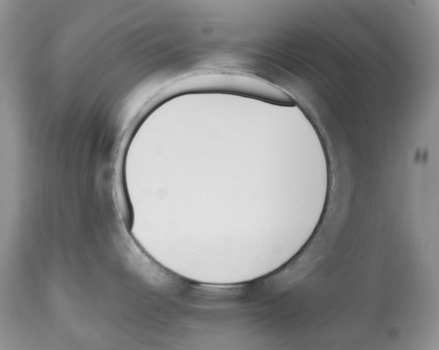 X0000112491344200909281124