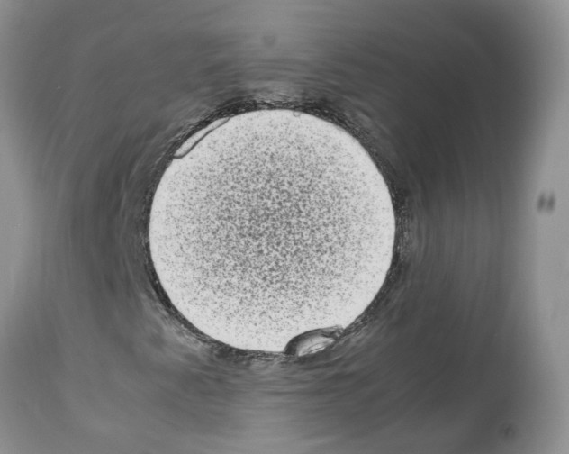 X0000112491345200909281123