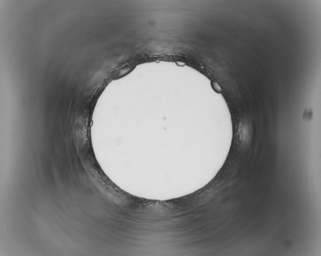 X0000112491348200909281123