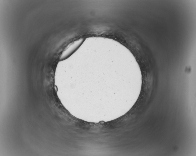 X0000112491349200909281123