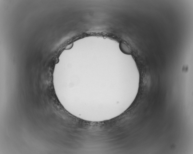 X0000112491350200909281123