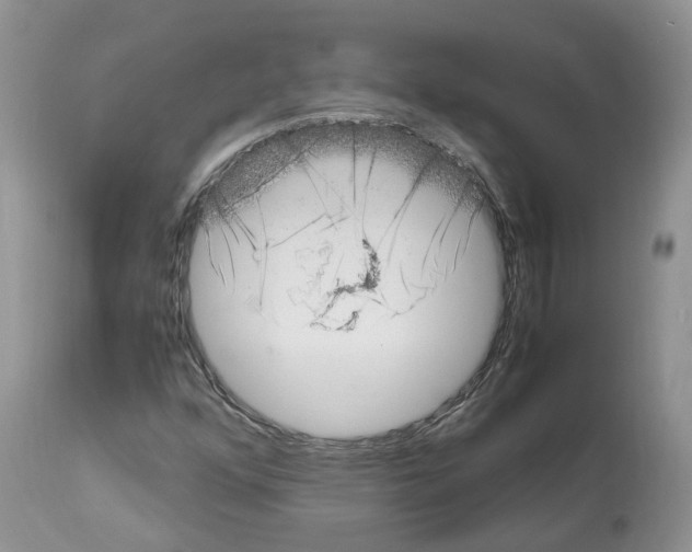 X0000112491352200909281123