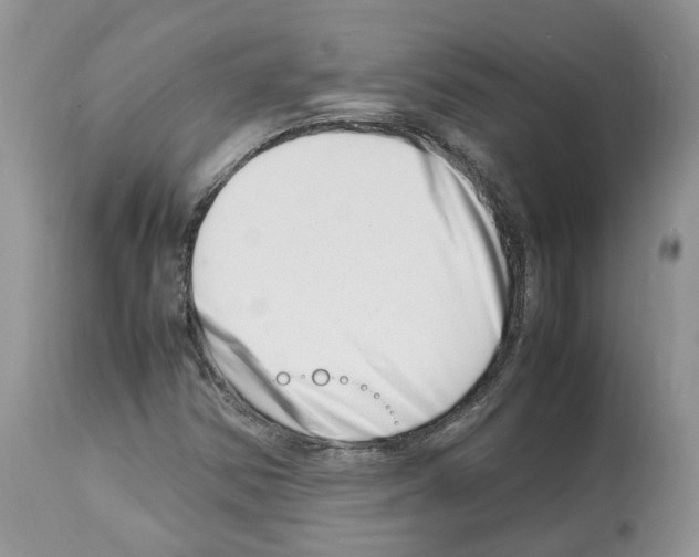 X0000112491354200909281123