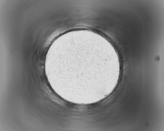 X0000112491355200909281123