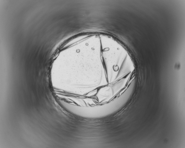 X0000112491356200909281123