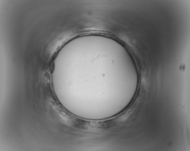 X0000112491357200909281123