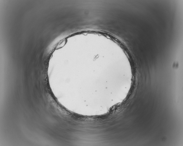 X0000112491359200909281123