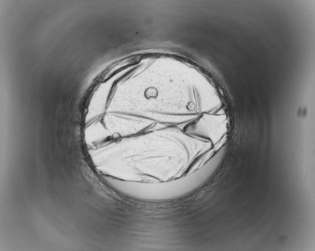 X0000112491360200909281123