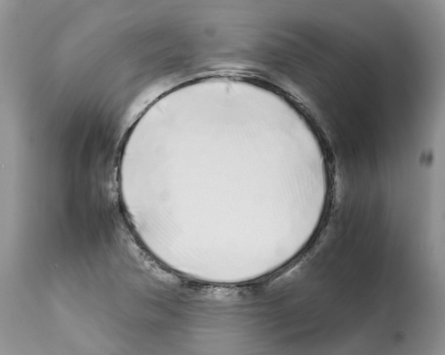 X0000112491362200909281123