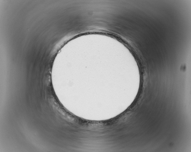 X0000112491363200909281123