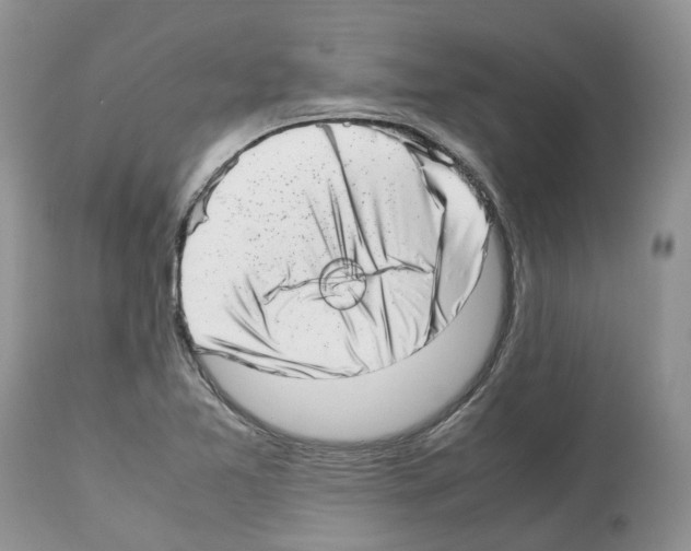 X0000112491365200909281123