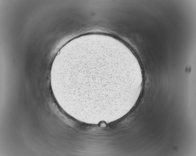 X0000112491367200909281123