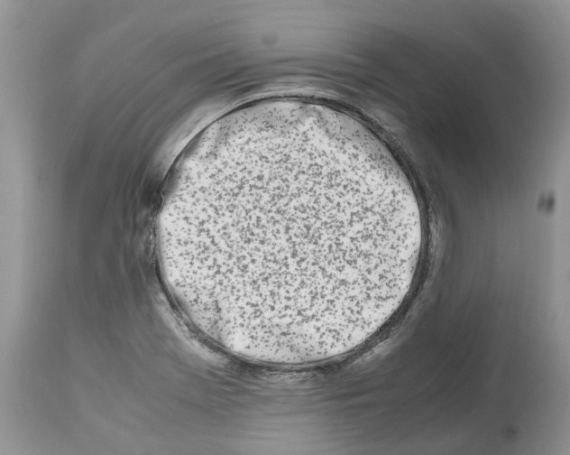 X0000112491369200909281123