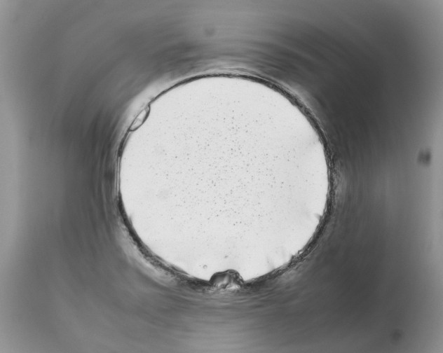 X0000112491371200909281123