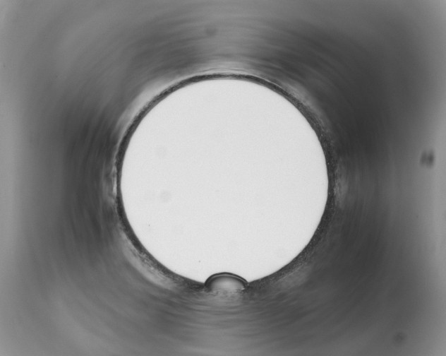 X0000112491372200909281123