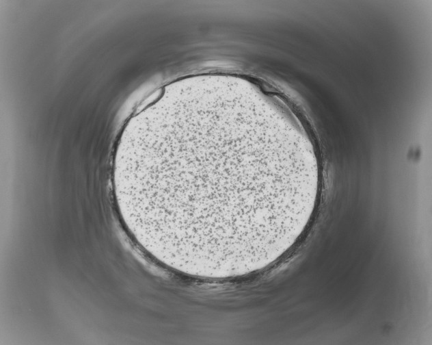 X0000112491373200909281123