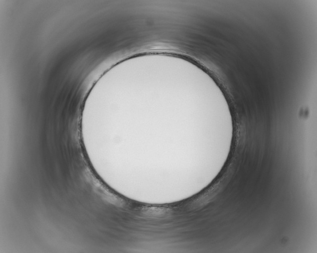 X0000112491374200909281123