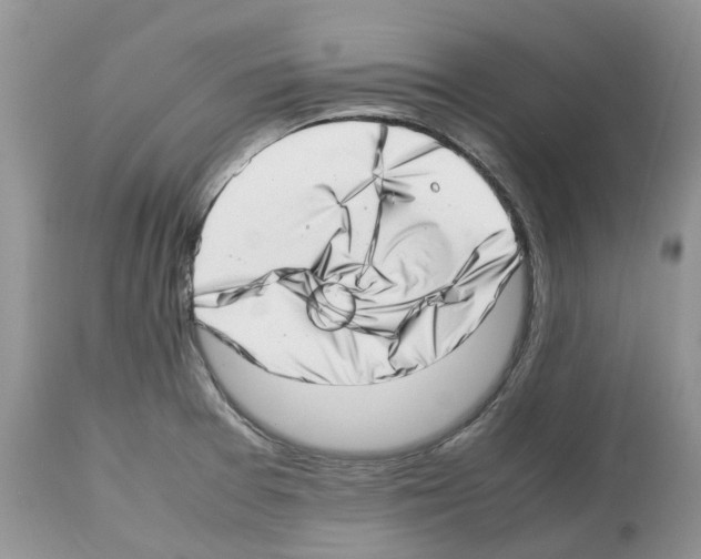 X0000112491377200909281123
